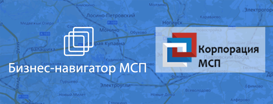 Бизнес навигатор мсп карта